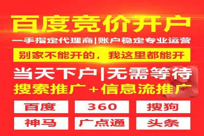 谷歌竞价案例：快速提升品牌影响力的广告策略